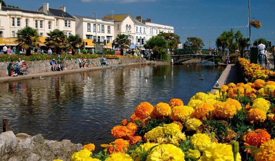 Appartamento Dawlish Lawn View Esterno foto